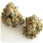 Шишки "White Widow"  (Белая вдова)  Гидропоника -  Бошка VHQ в Видном