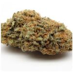 Шишки AK47  (Гидропоника, Бошка) VHQ в Видном